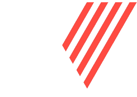 Logo NewSystem